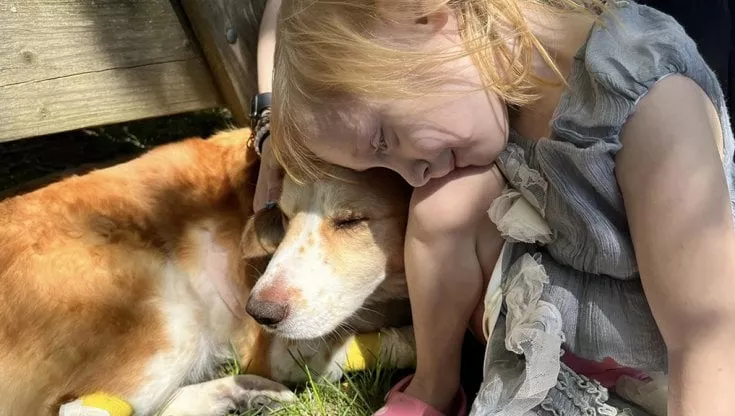 Archie è morto, il cane che si era ammalato ai reni come la padroncina di nome Hope