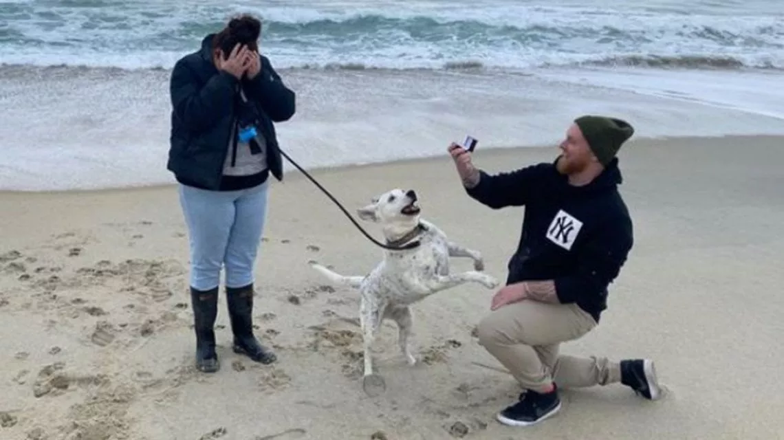 Sorpresa sulla spiaggia, una proposta di matrimonio rubata dal cane protagonista