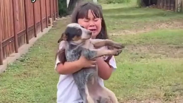 “L’ho trovata…ti ho trovata”, padroncina ritrova la sua cagnolina che si era persa, la foto del ritrovamento è commovente