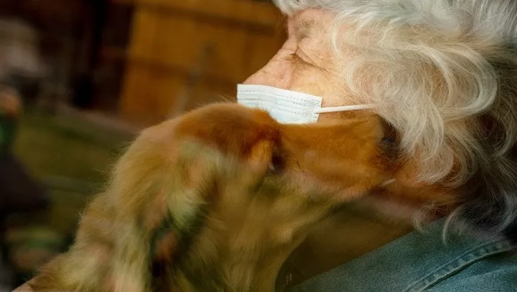 A 80 anni scopre di avere un tumore e decide di non farsi curare per non lasciare solo il suo cane