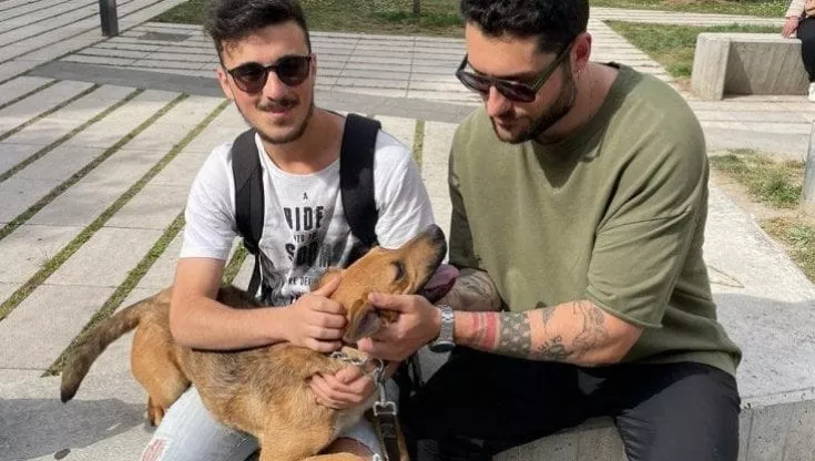 Un lieto fine per Stradino: l’adorabile cane adottato dopo un salvataggio miracoloso