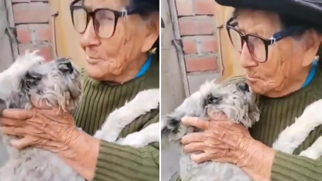L’incredibile storia di Alvina: una nonnina ultracentenaria riabbraccia il suo cane smarrito