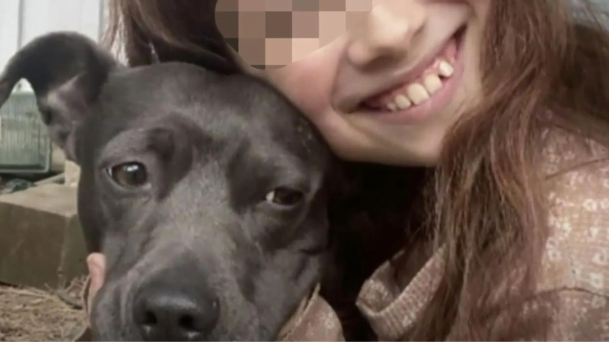 L’eroismo senza limiti di Lady, il coraggioso cane che ha sacrificato la propria vita per proteggere la famiglia da un puma