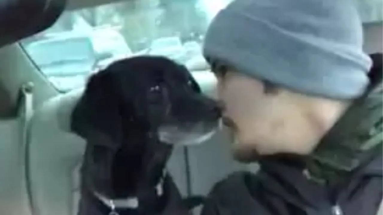 Gesto ammirabile, fattorino doveva consegnare delle pizze ma si ferma e decide di salvare un cagnolino, “Lui era più importante”