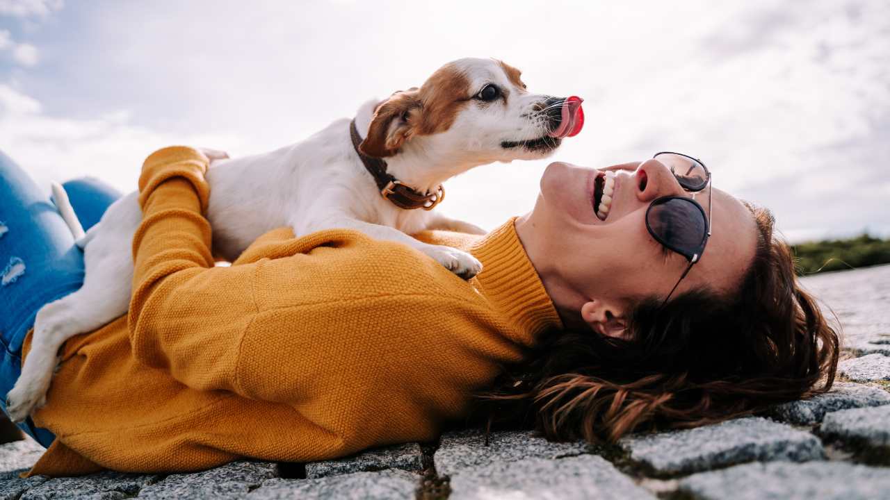 Il cane ti lecca? Delle volte non significa che sia solo un gesto affettuoso  