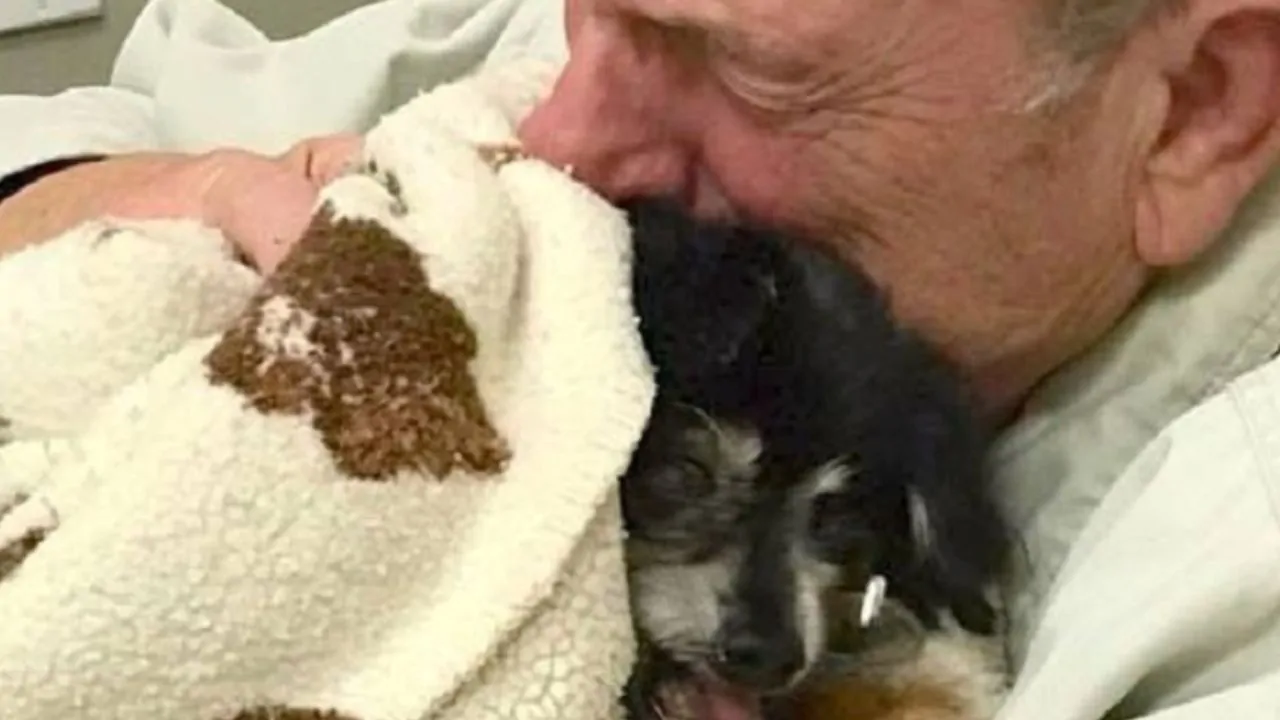 Un addio doloroso: un uomo e il suo fedele cane inseparabili anche oltre la morte