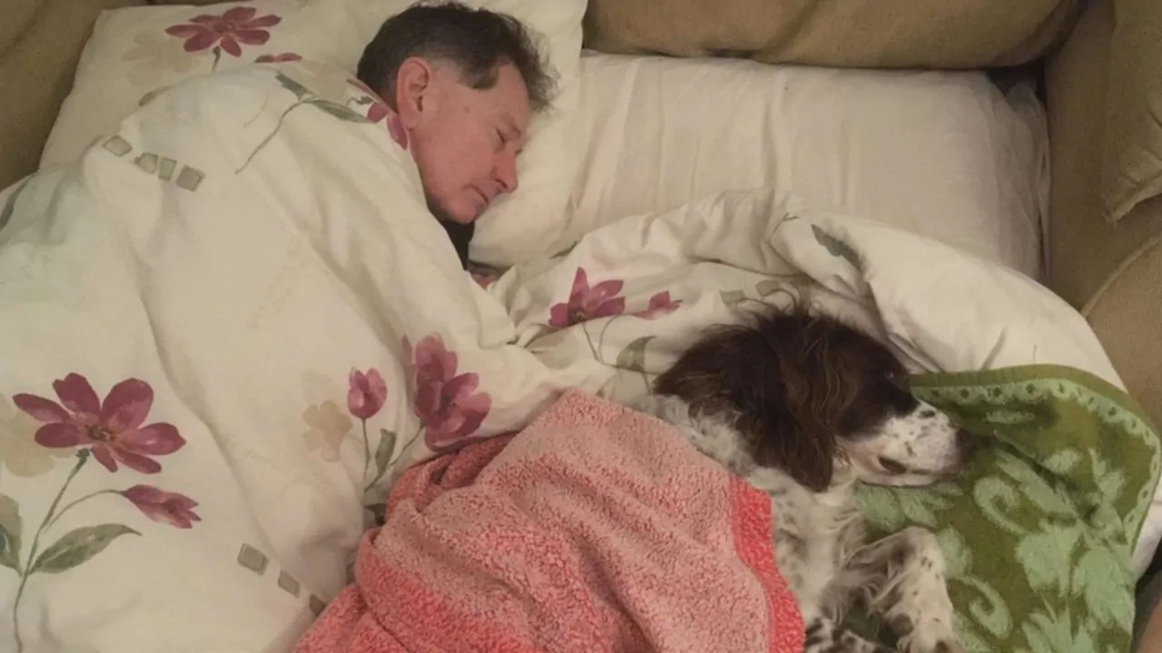 L’adorabile Spike è gravemente malato, il suo padrone decide di dormire a suo fianco per accompagnarlo negli ultimi giorni
