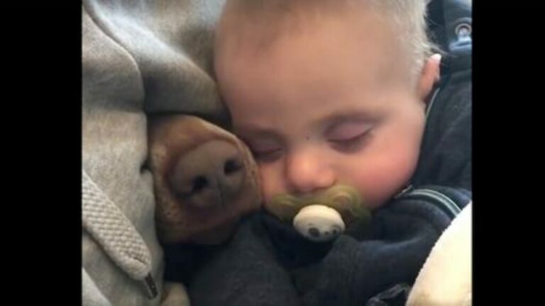 Una madre racconta come la nascita di un bambino non abbia spezzato il legame con il cane di famiglia, ma lo abbia trasformato in una relazione ancora più profonda.