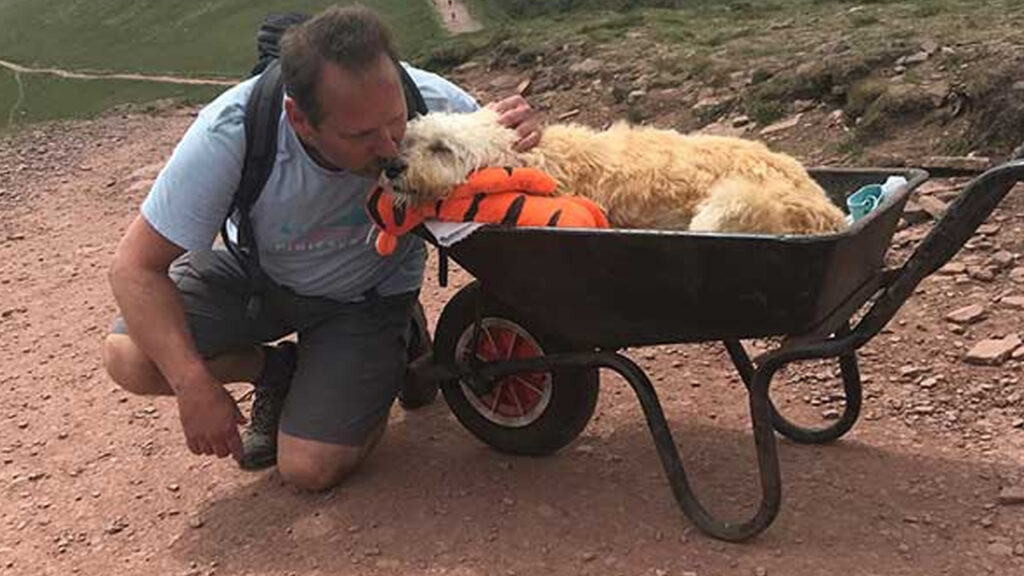 Il padrone decide di portare con se il suo cane, oramai malato terminale, per la sua ultima scalata