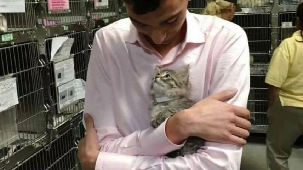 Gattina sceglie senza alcun indugio il suo nuovo padrone, salta tra le sue braccia