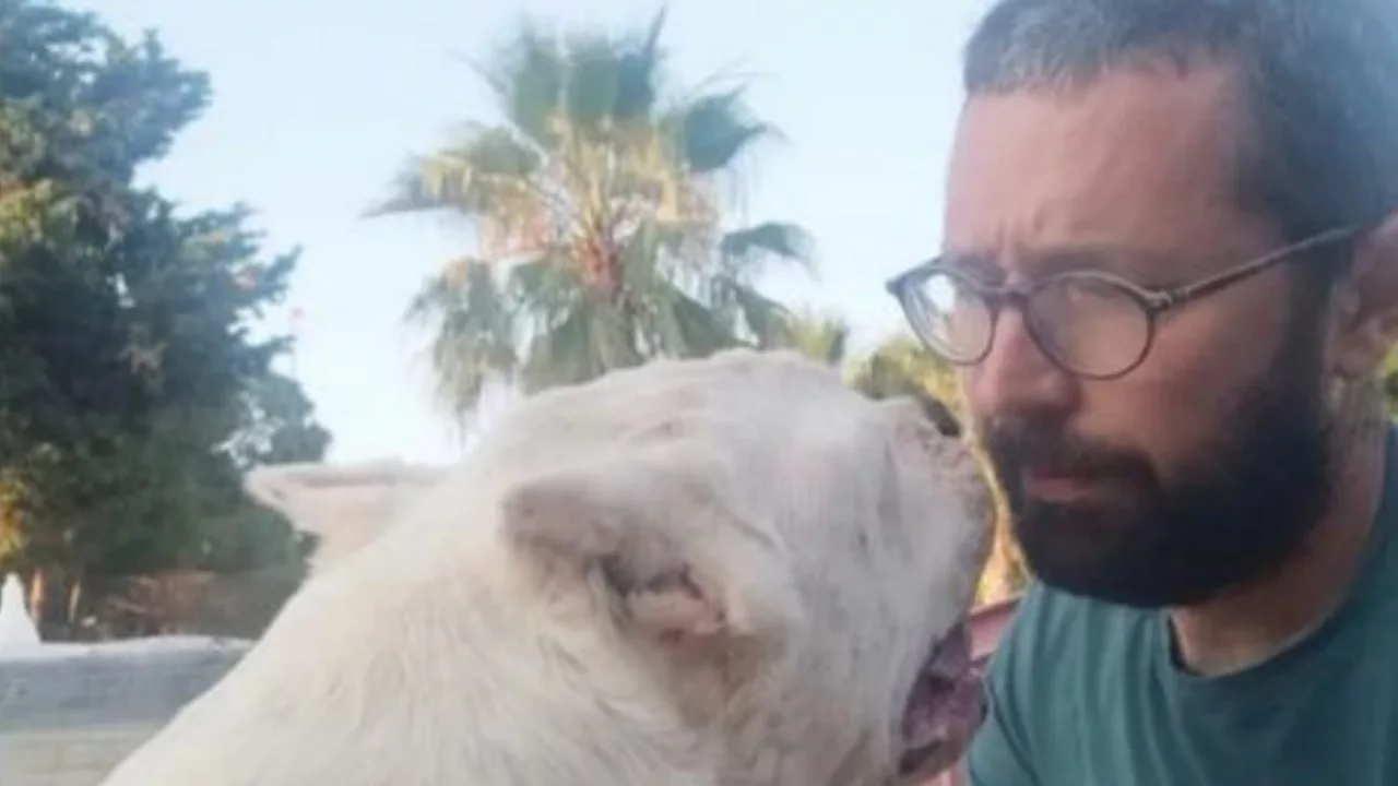 Miguel, un veterinario, condivide l’emozionante addio a Zeus, un cane del rifugio, celebrando l’impareggiabile legame e le lezioni apprese.