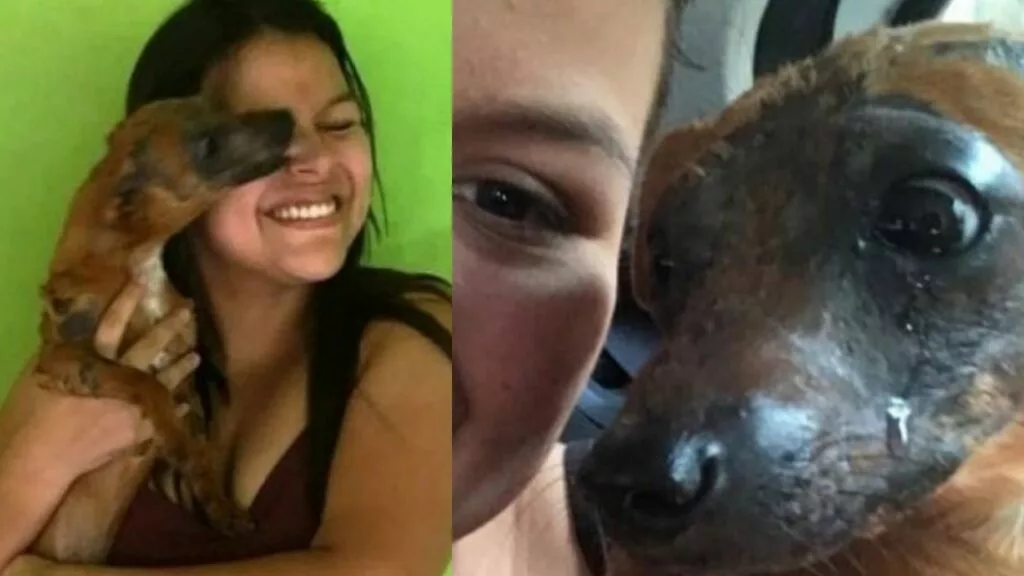 Sebastian, un cagnolino ustionato, scoppia in un pianto improvviso quando capisce di essere stato adottato