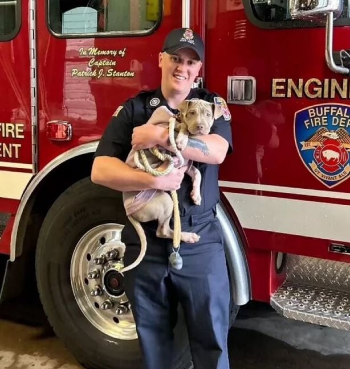 Auburn, il cane investito, adottato dal pompiere che lo soccorse