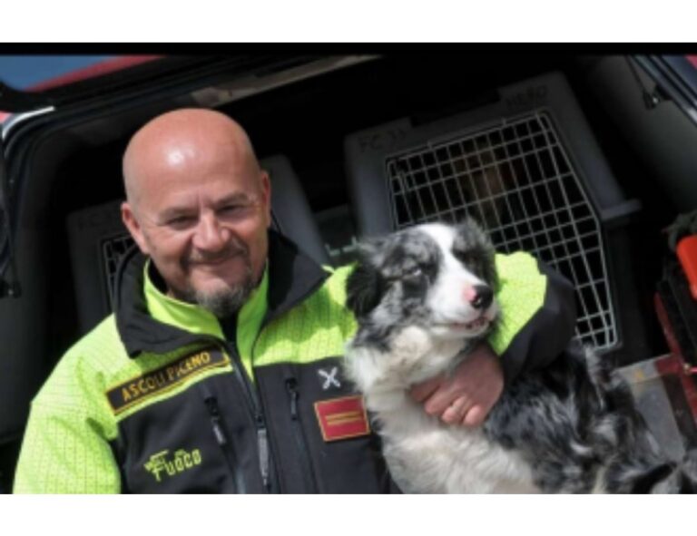 Galassia, il collie border di 14 anni, servì con coraggio nelle operazioni di ricerca dei vigili del fuoco in molteplici tragedie, compresa la caduta del ponte Morandi a Genova.