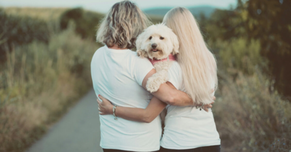5 segnali che mostrano l’affetto profondo del cane verso il suo padrone