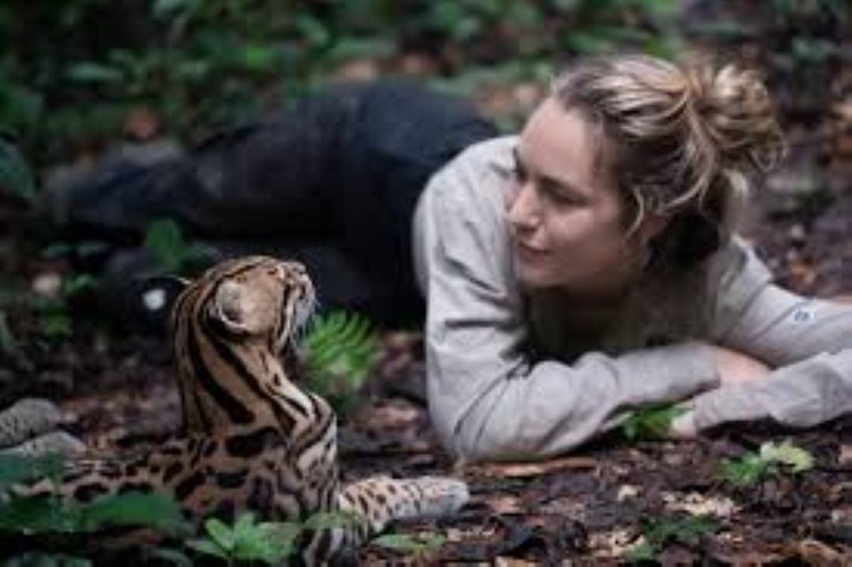 Un cucciolo di ocelot salvato dai bracconieri in Amazzonia, una bellissima storia