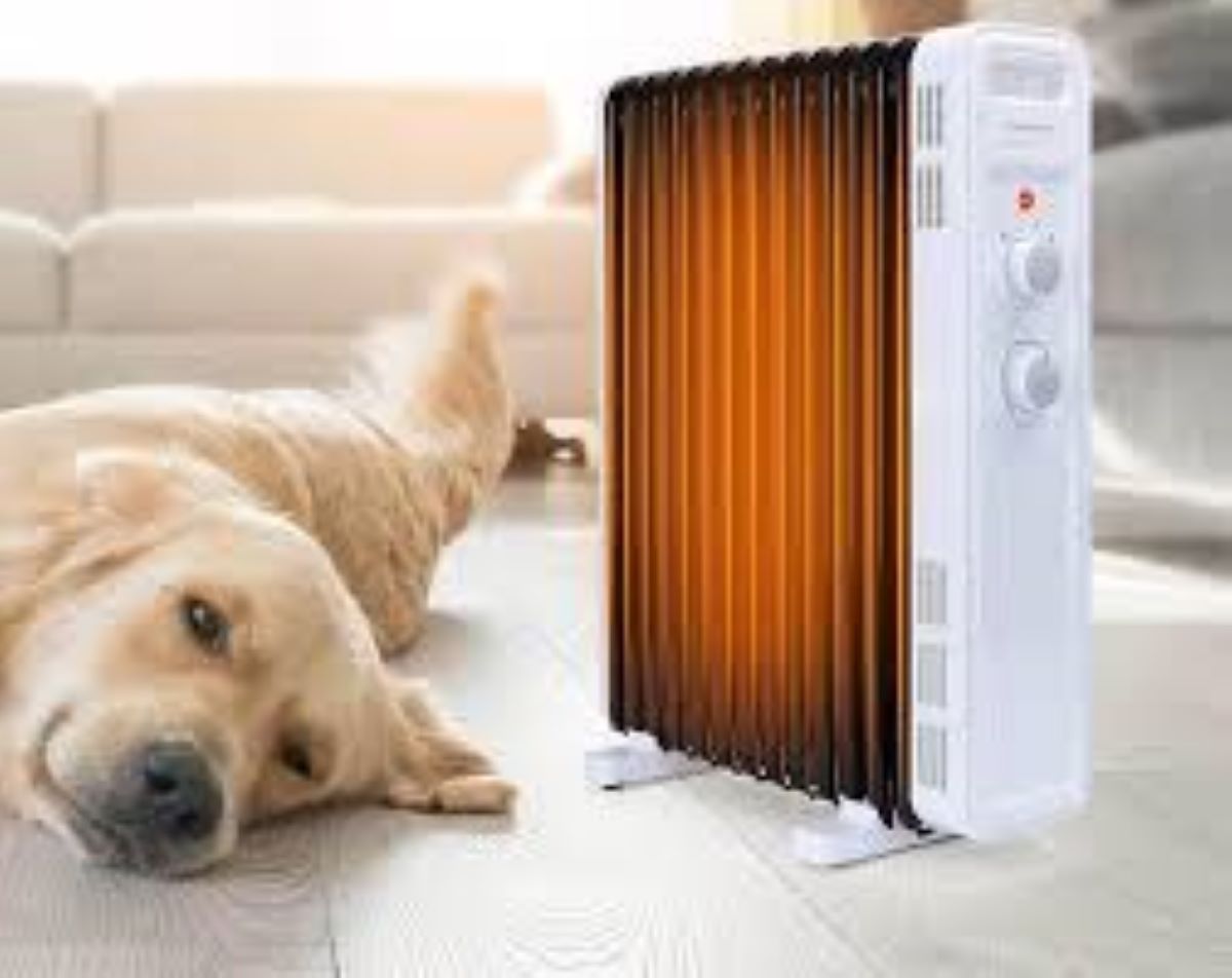 Animali domestici e termosifoni: i pericoli a cui fare attenzione
