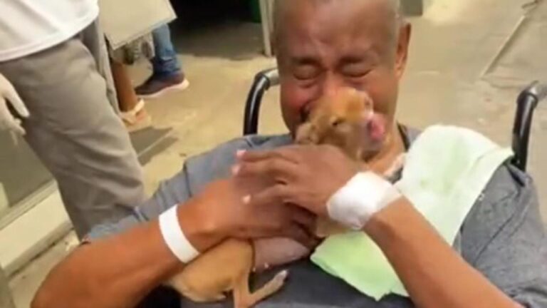 Un incontro commovente tra un paziente ricoverato in ospedale e il suo cane Kikinha diventa simbolo del potere curativo del legame con gli animali.