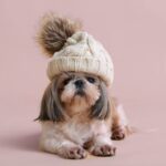 Non tutti i cani tollerano il freddo allo stesso modo. Scopri le razze più sensibili, come proteggerle e i segnali di disagio da riconoscere.