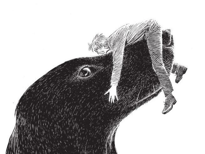 Il celebre fumettista belga François Schuiten trasforma il dolore per la perdita del suo cane Jim in arte: 365 disegni per ricordarlo, ora raccolti in un’opera toccante.
