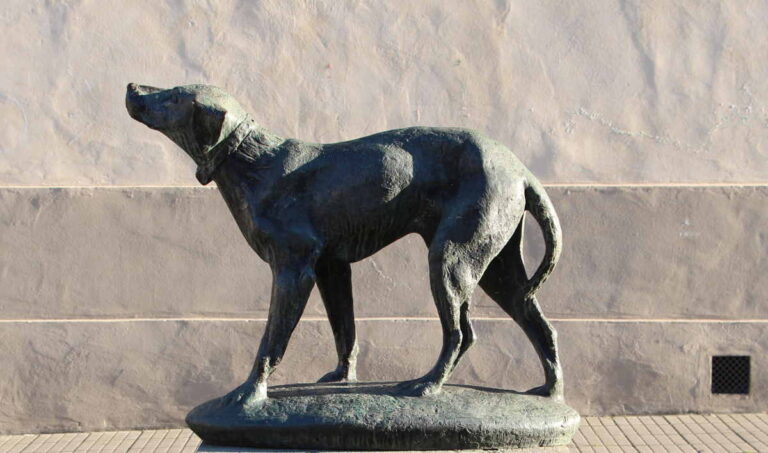 A Borgo San Lorenzo, in Toscana, un monumento ricorda la straordinaria fedeltà del cane Fido, simbolo di amore e lealtà senza limiti.