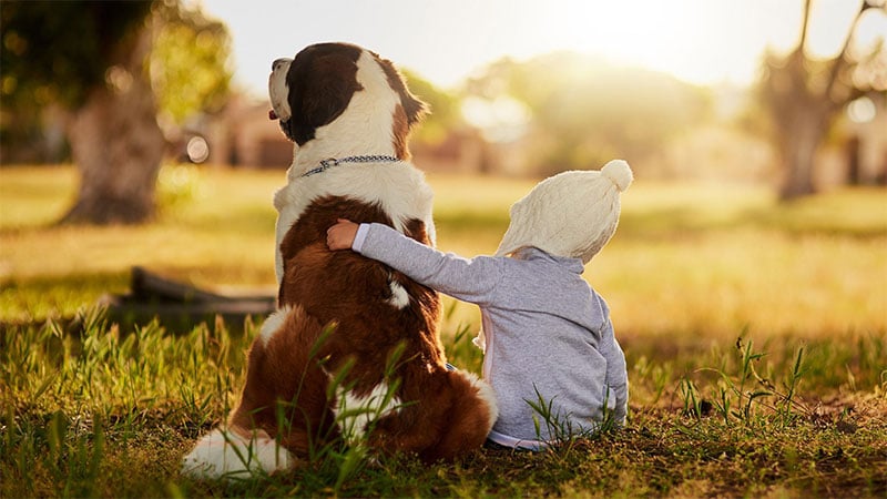 Cani e bambini: spiegato in uno studio il legame speciale tra loro