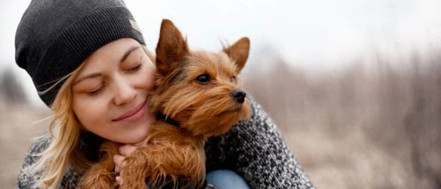 I cani distinguono chi tratta bene o male i loro padroni: gli studi che confermano la loro empatia