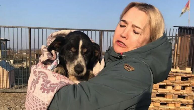Dik, un cane di 18 anni creduto morto, si risveglia nella tomba e riemerge scavando. La storia di un miracolo avvenuto in un villaggio di Novonikolsk.