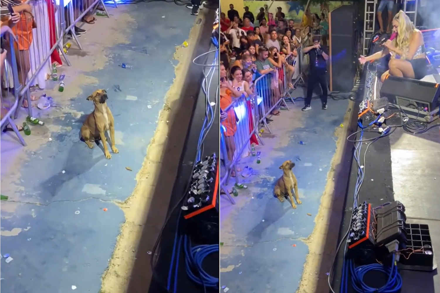 Durante un concerto in Brasile, la cantante Taty Girl ha rinunciato ai fuochi d’artificio per non spaventare un cucciolo randagio, guadagnandosi l'ammirazione dei fan.