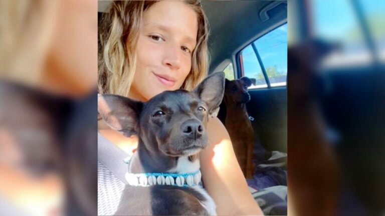 Dopo essersi smarrita nell’aeroporto di Atlanta, la cagnolina Maia, un incrocio di Chihuahua, è stata ritrovata sana e salva e riconsegnata alla sua proprietaria Paula Rodriguez.