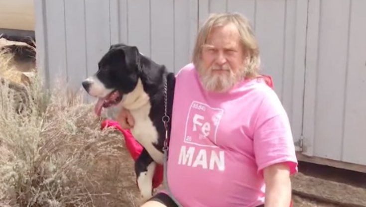 Senza alcun addestramento, il cane Peanut, adottato da meno di 24 ore, ha riconosciuto il pericolo e salvato la vita del suo proprietario, Andrew Budek Schmuisser, intervenendo in tempo record.