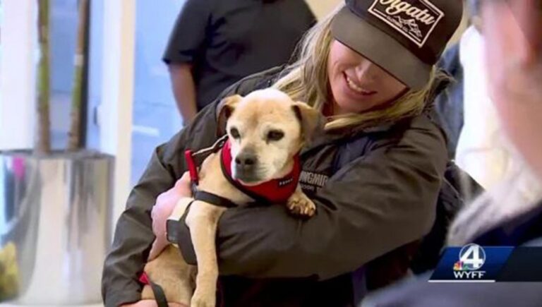 Jessie Spinger non ha mai smesso di cercarlo e, dopo sette anni, ha finalmente potuto riabbracciare il suo amato cane Nugget, ritrovato a 2.700 chilometri di distanza dal luogo in cui si era smarrito.