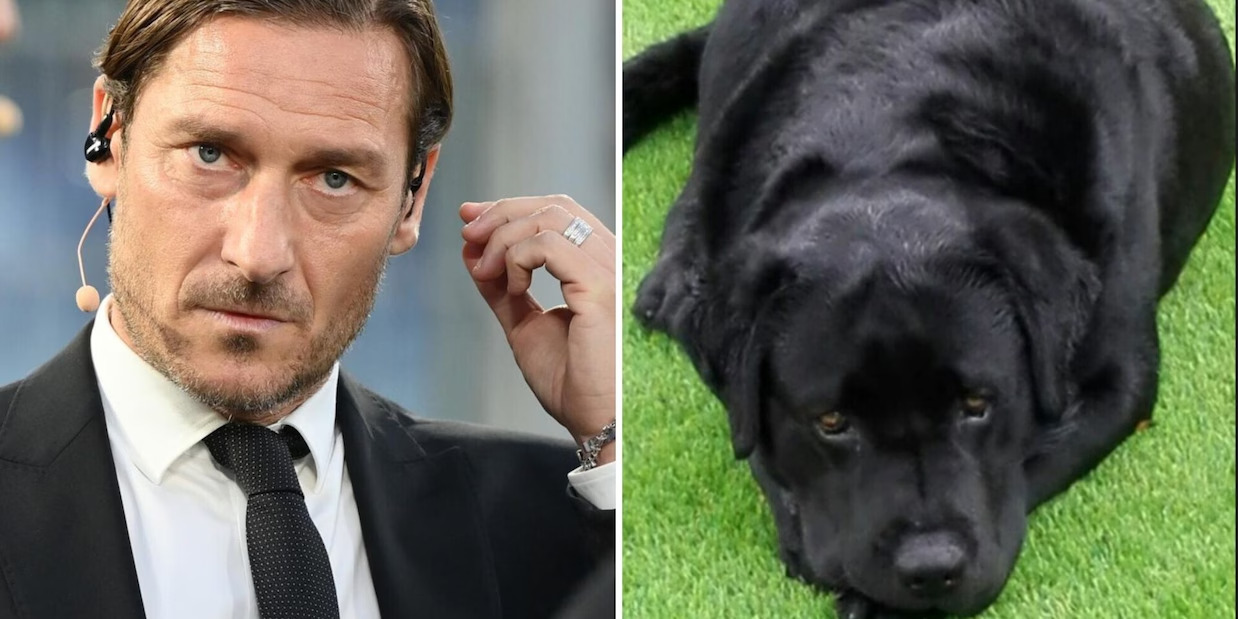 “Buon ponte Diego”, Francesco Totti dice addio al suo amato Labrador, “Un vuoto incolmabile”