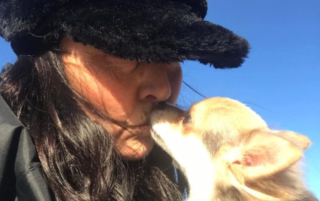 Mel e il suo viaggio senza fine: 16.000 km percorsi in  sette mesi per ritrovare il suo amato chihuahua, “Senza di lui sono niente”