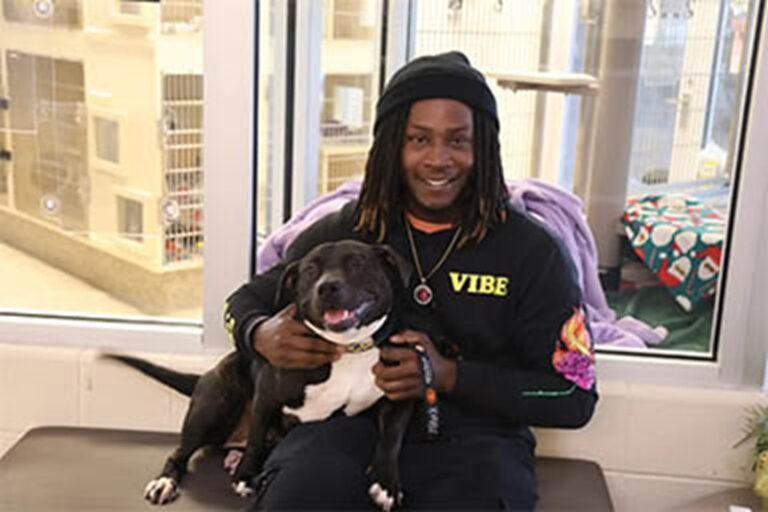 La sorprendente coincidenza è avvenuta al Michigan Humane, dove un uomo ha riconosciuto la sua Lisa mentre era impegnato in un servizio fotografico.