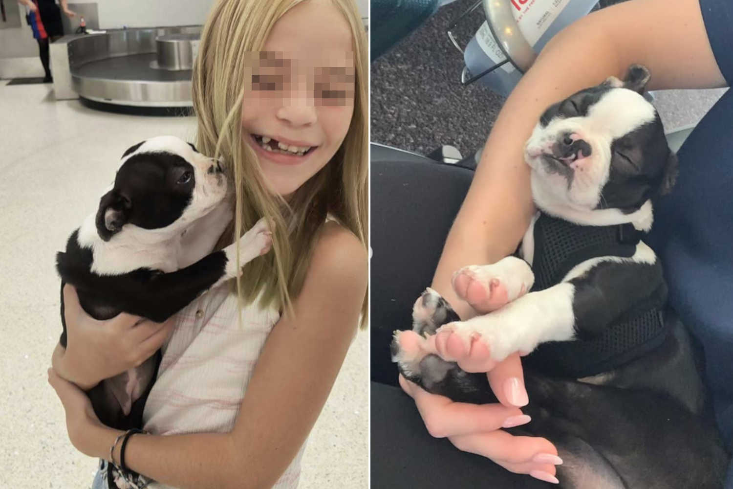 Grazie al suo cane Tennee, nato con la stessa condizione, la piccola Kynlee Rogers ha trovato un legame che le ha cambiato la vita, facendole sentire meno sola.