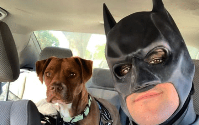 Batman4Paws: l’eroe che salva cani e gatti dai rifugi prossimi alla soppressione