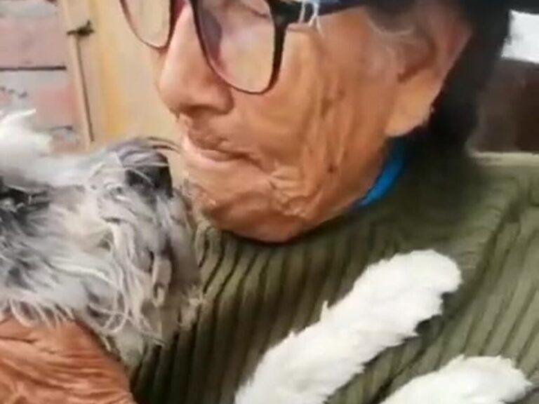 Alvina Alarcón, quasi 104 anni, ha riabbracciato in lacrime il suo adorato cane Raylu, uno Schnauzer smarrito per due settimane. Il video del loro incontro ha emozionato l’intero Perù e sta diventando virale sui social.