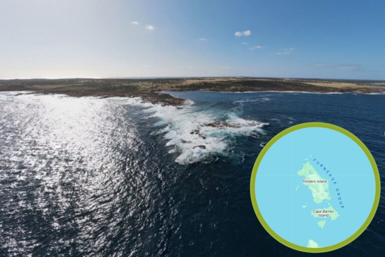 Un ambizioso progetto da 4,8 milioni di dollari trasformerà Flinders Island, nell’arcipelago Furneaux, in un rifugio sicuro per specie autoctone, eliminando gatti e roditori invasivi.