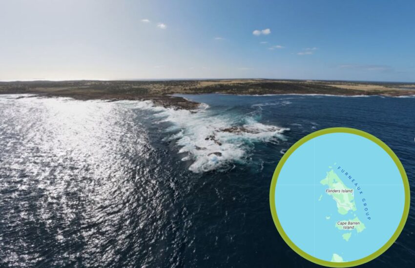 Un ambizioso progetto da 4,8 milioni di dollari trasformerà Flinders Island, nell’arcipelago Furneaux, in un rifugio sicuro per specie autoctone, eliminando gatti e roditori invasivi.