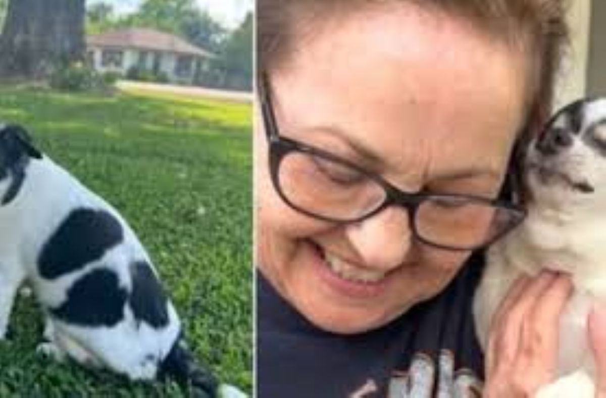 Cane cieco riconosce l’amore della sua padrona: il gesto di Grace commuove il web