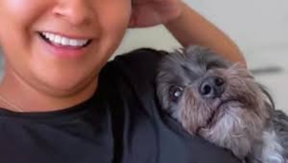 La vita con un “cane velcro”: un amore che non lascia spazio alla solitudine
