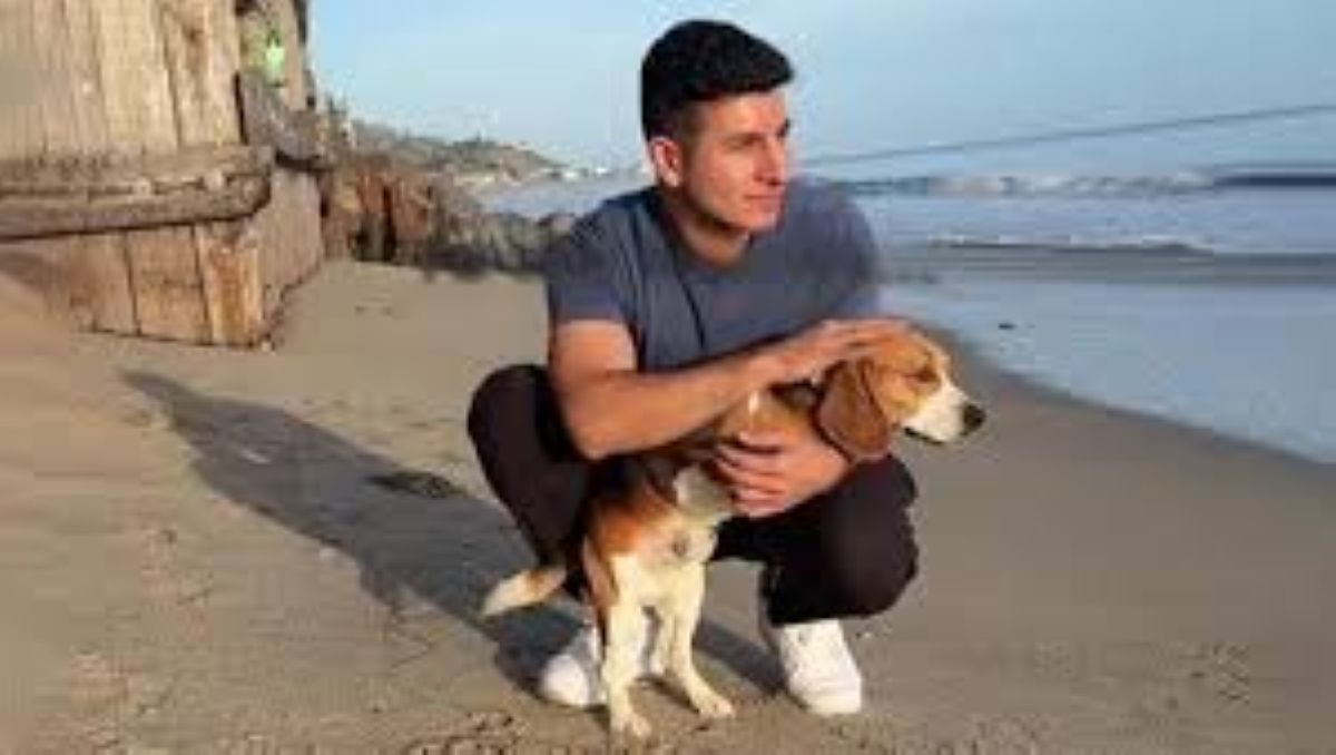 T-Rex, il cane senza zampe anteriori che ha vissuto un’avventura indimenticabile