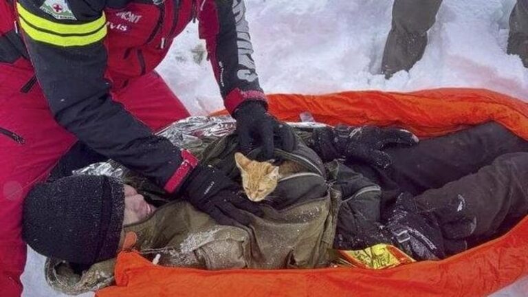 Il giornalista ucraino Vladislav Duda è rimasto vivo grazie al calore della sua gatta Persik, dopo 23 ore nella neve a -10 gradi.