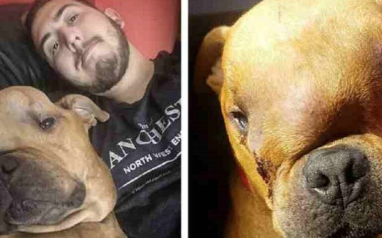 Luciano ha adottato Thanos, un cagnolino malato e rifiutato da tutti, regalandogli amore e dignità fino all’ultimo respiro.