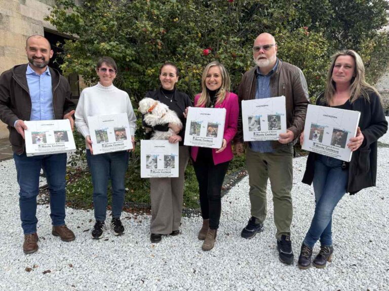 Ad Alessandria e Genova, i cartoni della pizza diventano veicolo di adozioni: protagonisti i cani dei rifugi, con storie e contatti per chi vuole accoglierli.