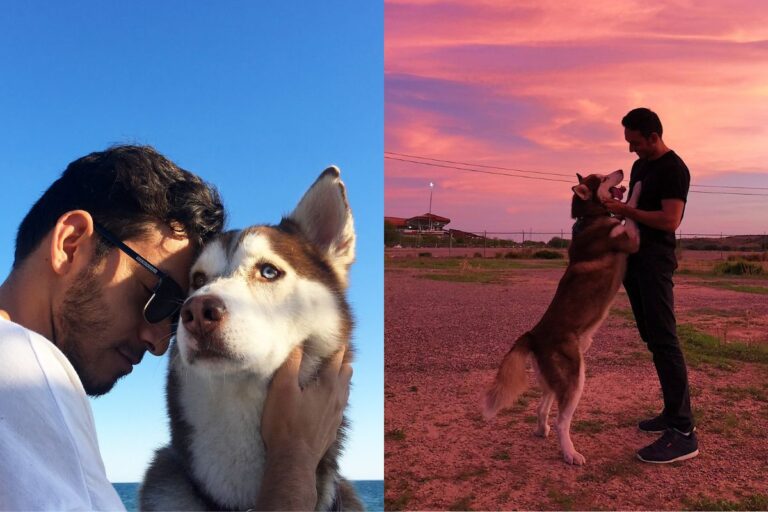 A Hermosillo, in Messico, un Husky siberiano di otto anni ha smesso di vivere pochi giorni dopo la morte del suo proprietario. Il legame tra loro era profondo.