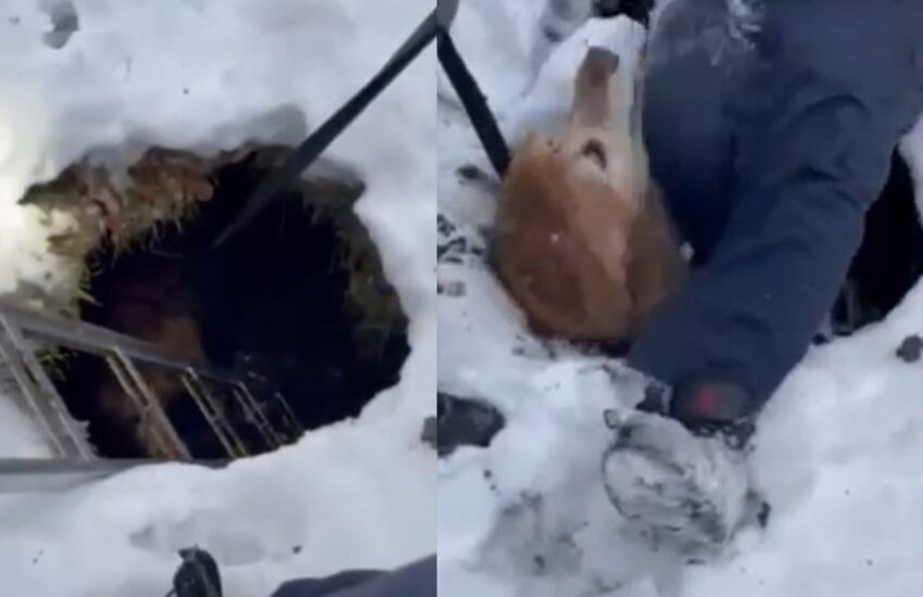 Dispersa in una dolina ghiacciata per ore, Macy è stata salvata grazie all’intervento di Wrigley e dei soccorritori. Ora è fuori pericolo.