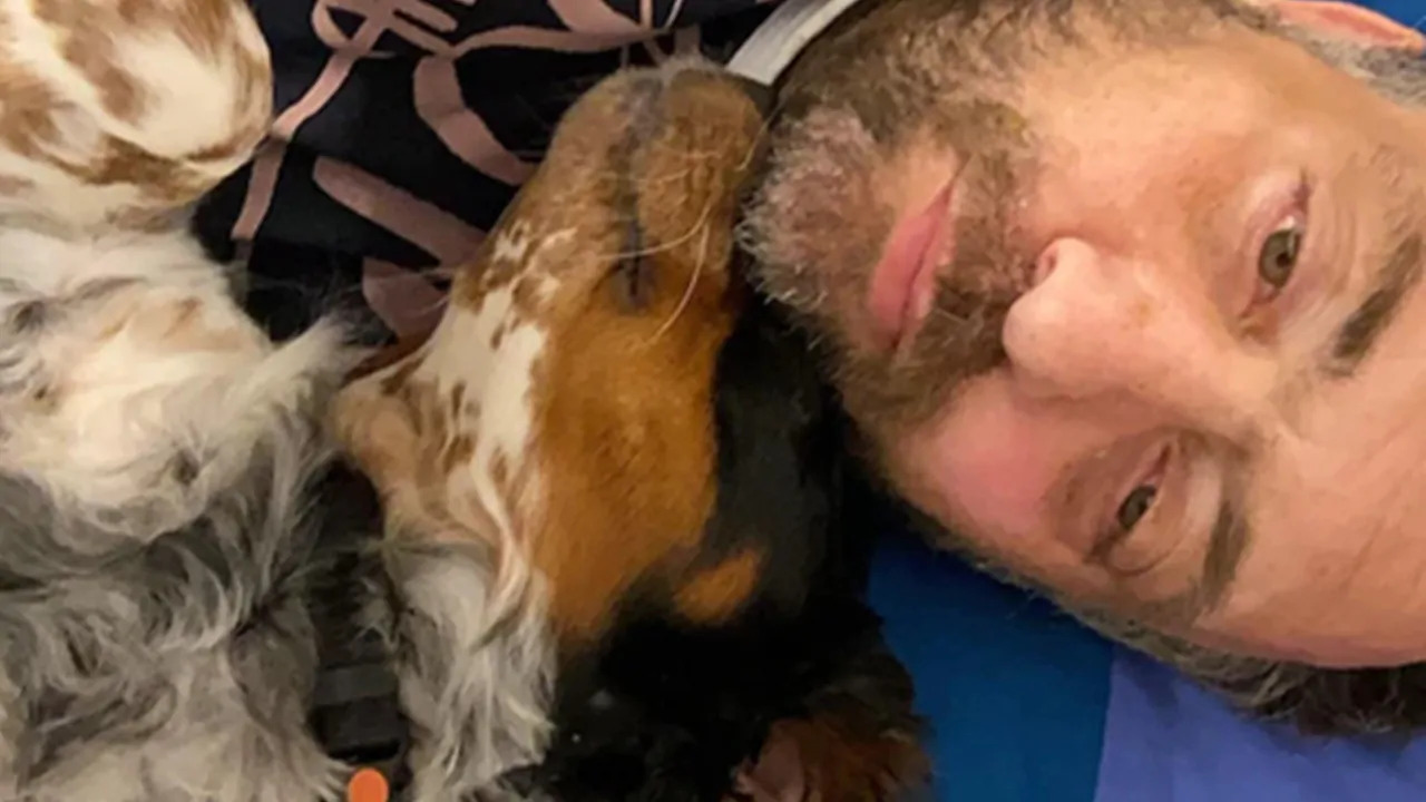 Il ritorno di Lola: la cagnolina rapita riabbraccia il suo padrone e gli ridona la speranza, “Con lei accanto, non sono più solo”
