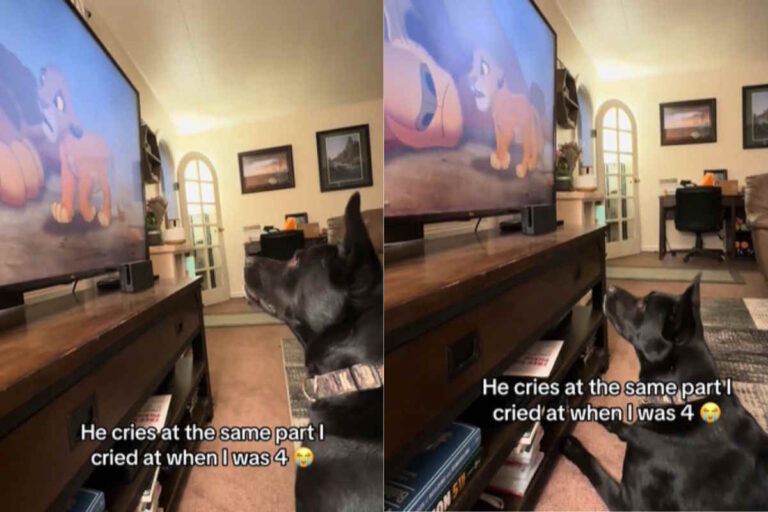 Zoe Ansary ha rivisto il film d’animazione con il suo cane, che ha singhiozzato nel momento più tragico. Il video ha fatto il giro di TikTok